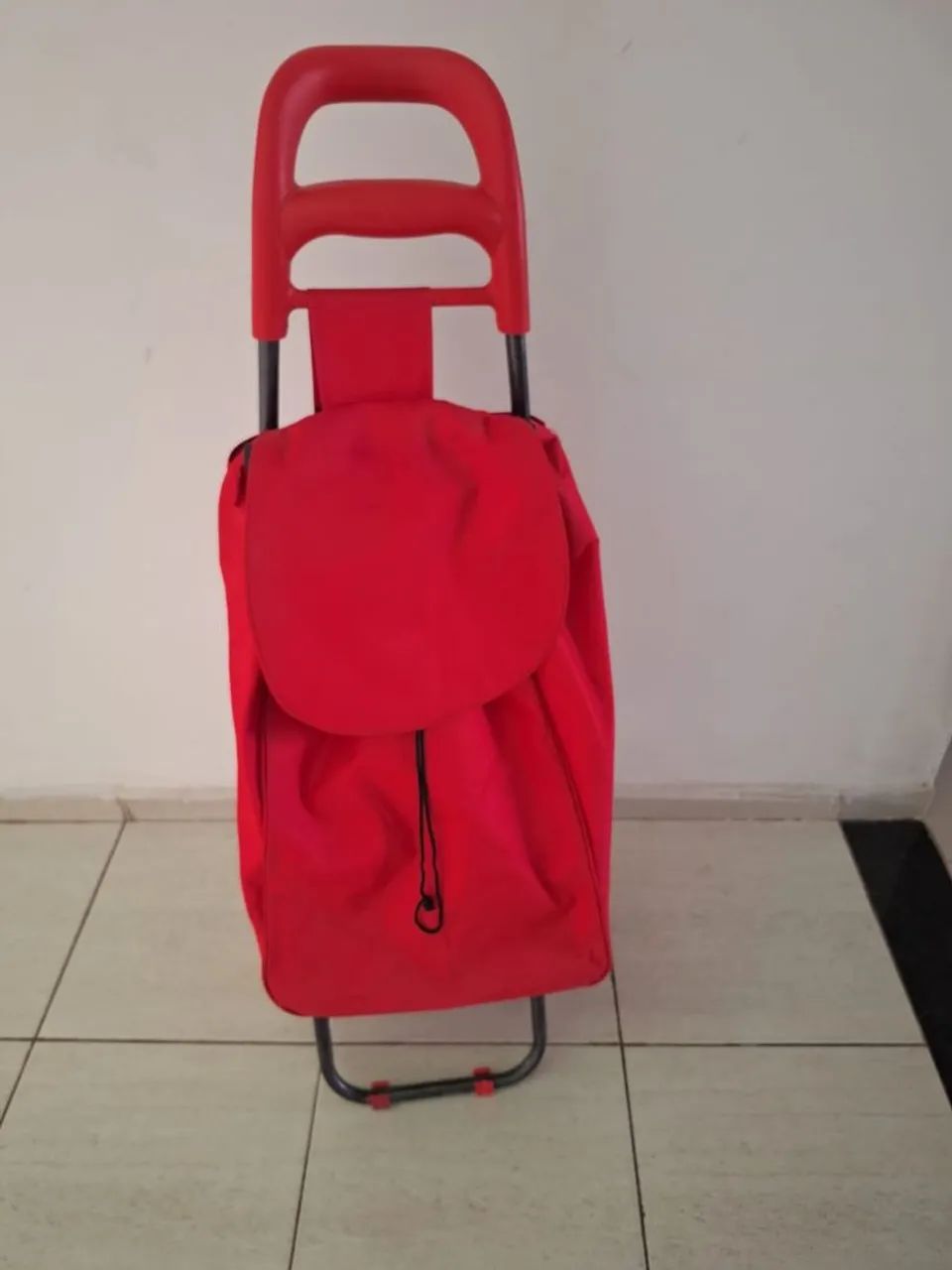 Carrinho de compras para feira