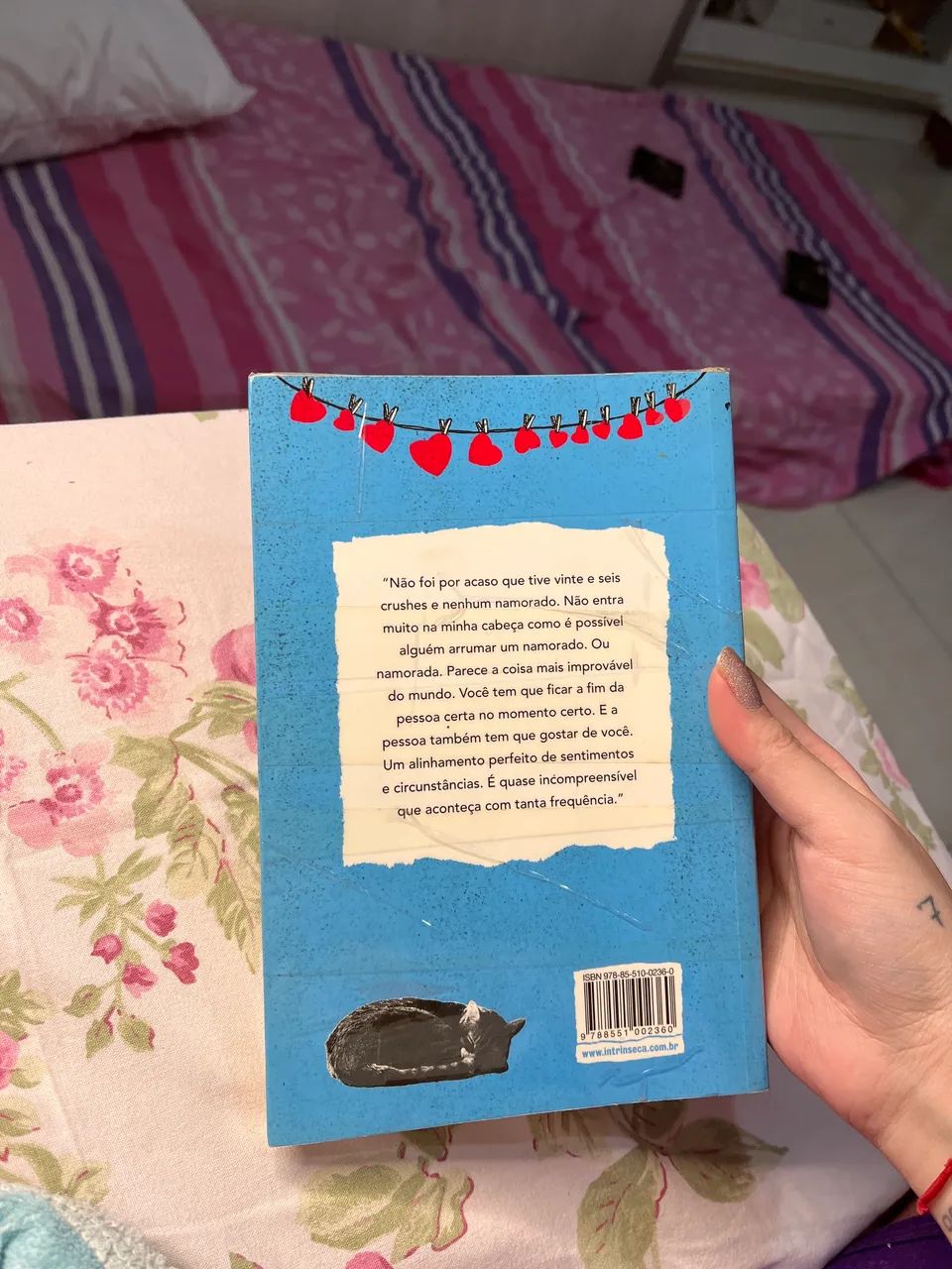 livro os 27 crushes de molly - Foto 2
