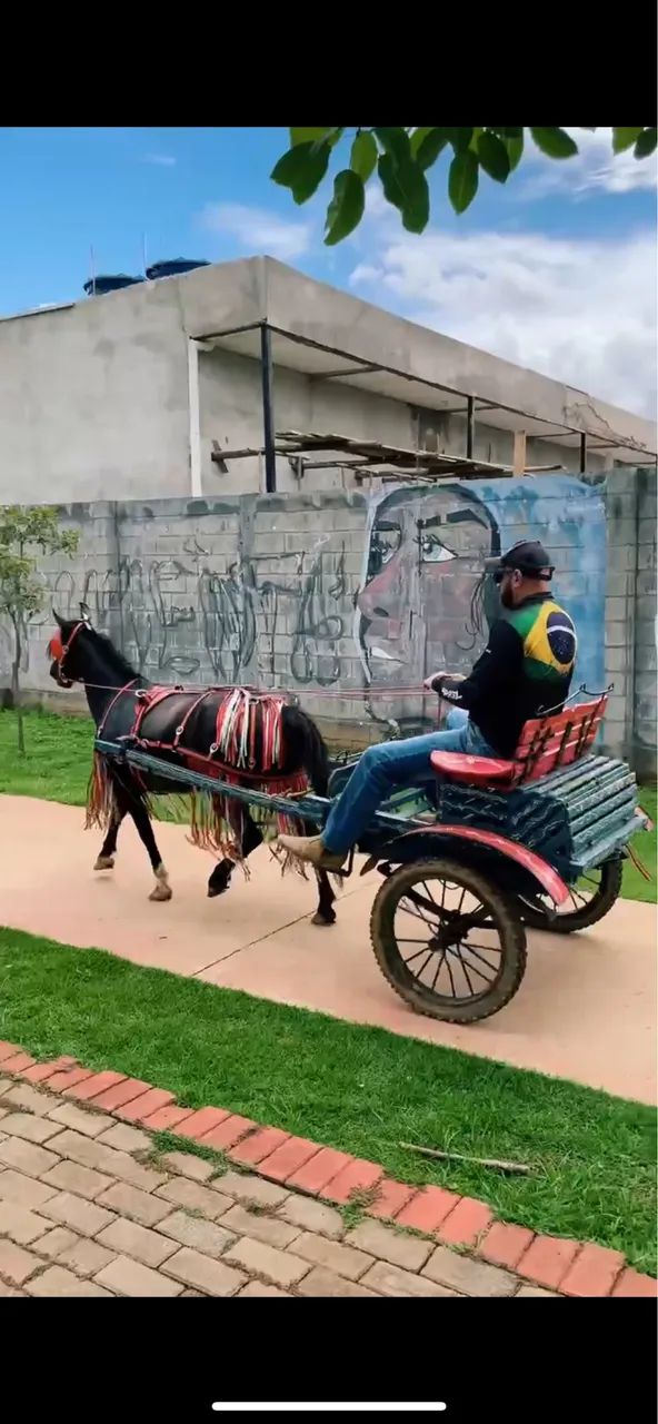 PONEI COM CHARRETE A VENDA