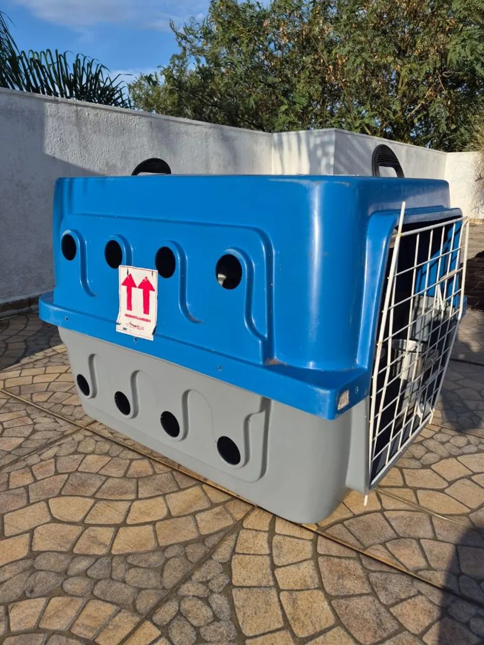 CAIXA TRANSPORTE PET  - Foto 2