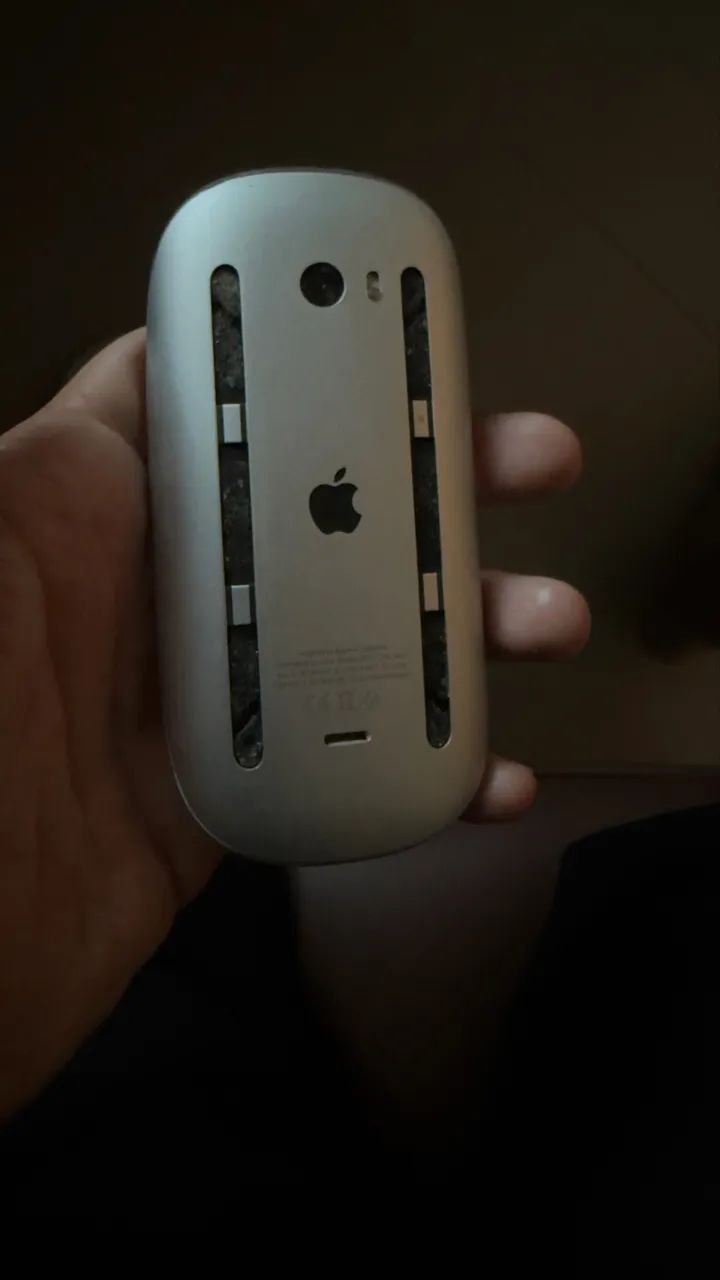 APPLE MAGIC 2