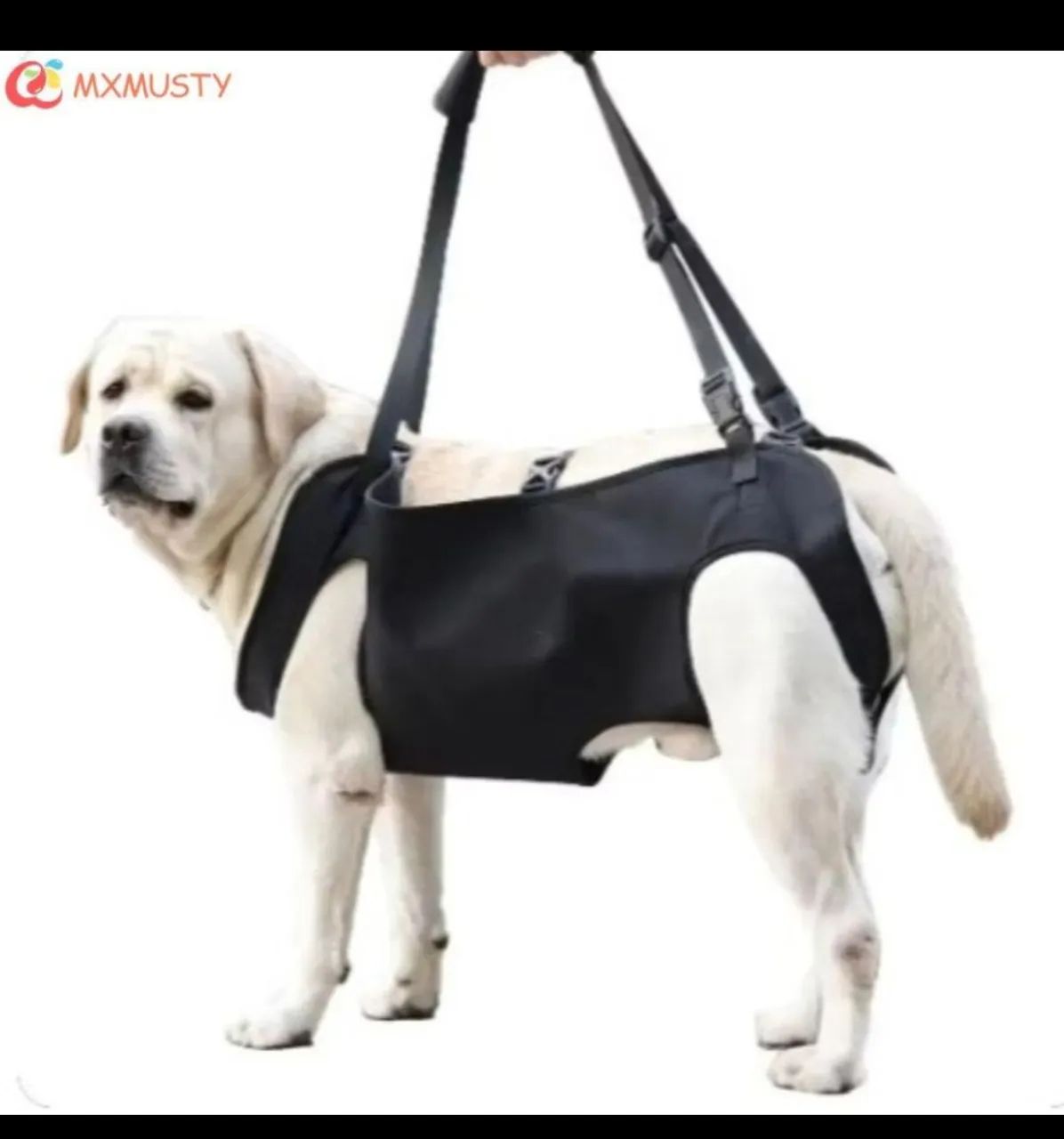 Suporte para locomoção de cães  - Foto 2