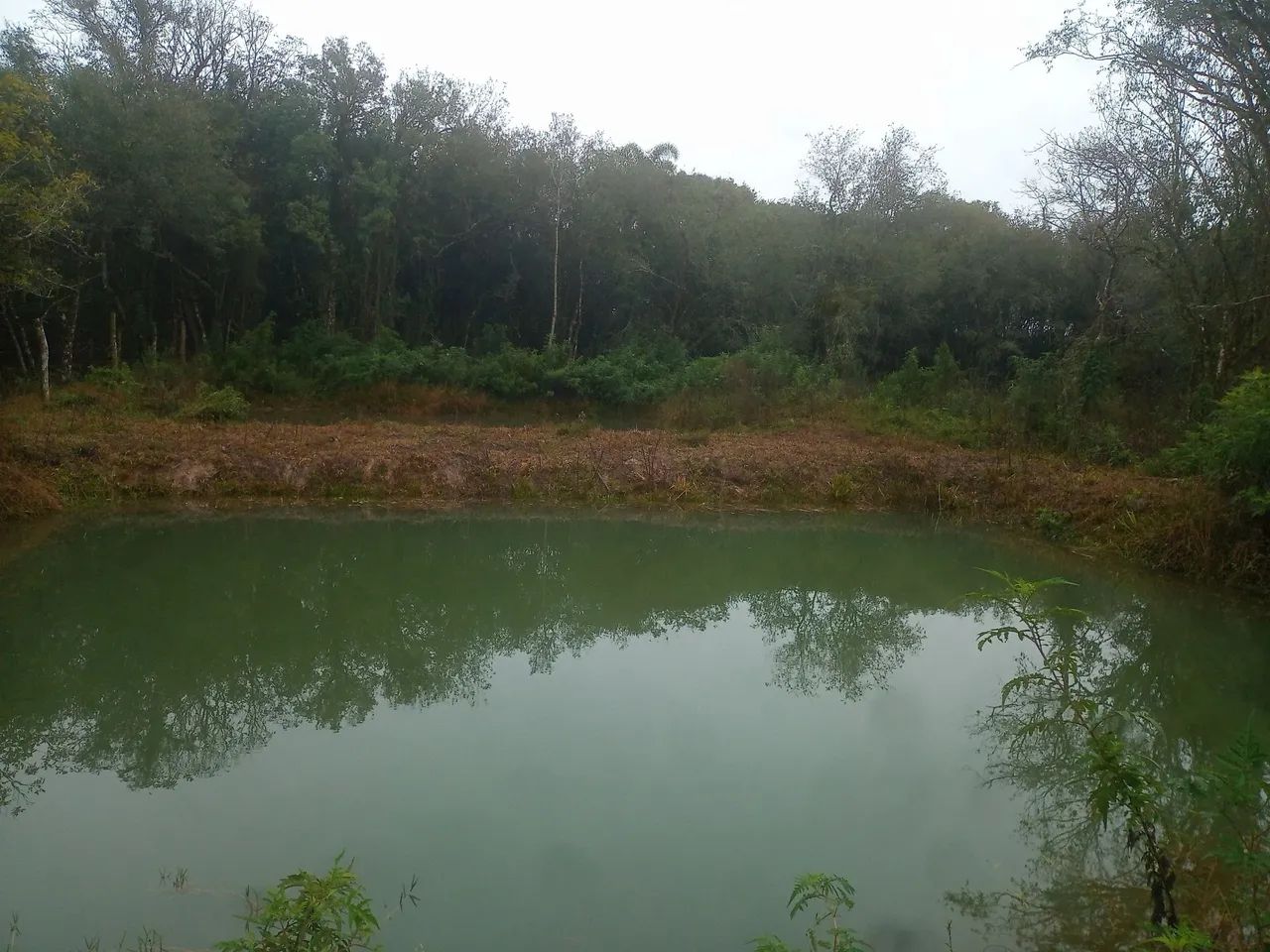 Área para formar chácara 