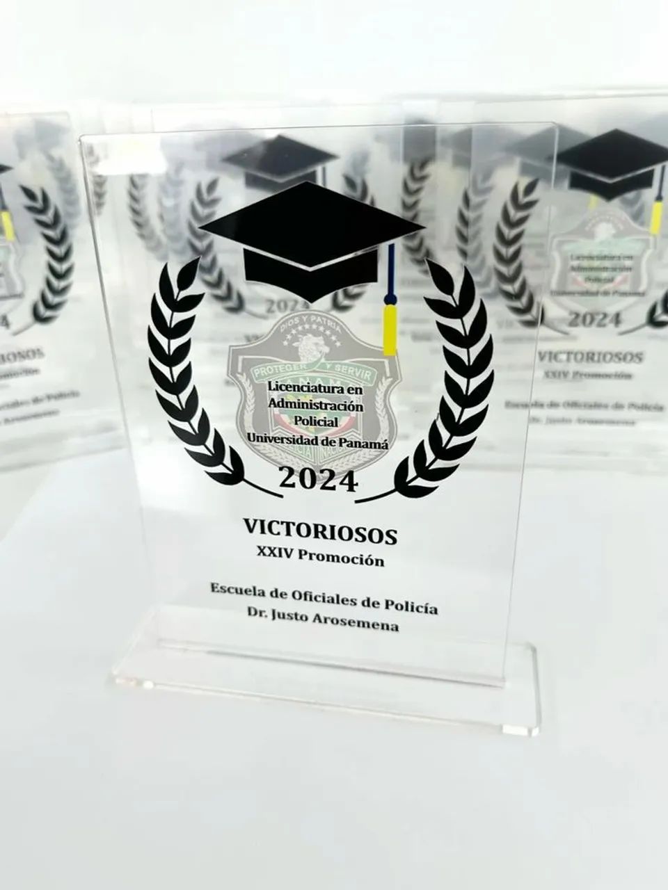 Troféus Personalizados  - Foto 5