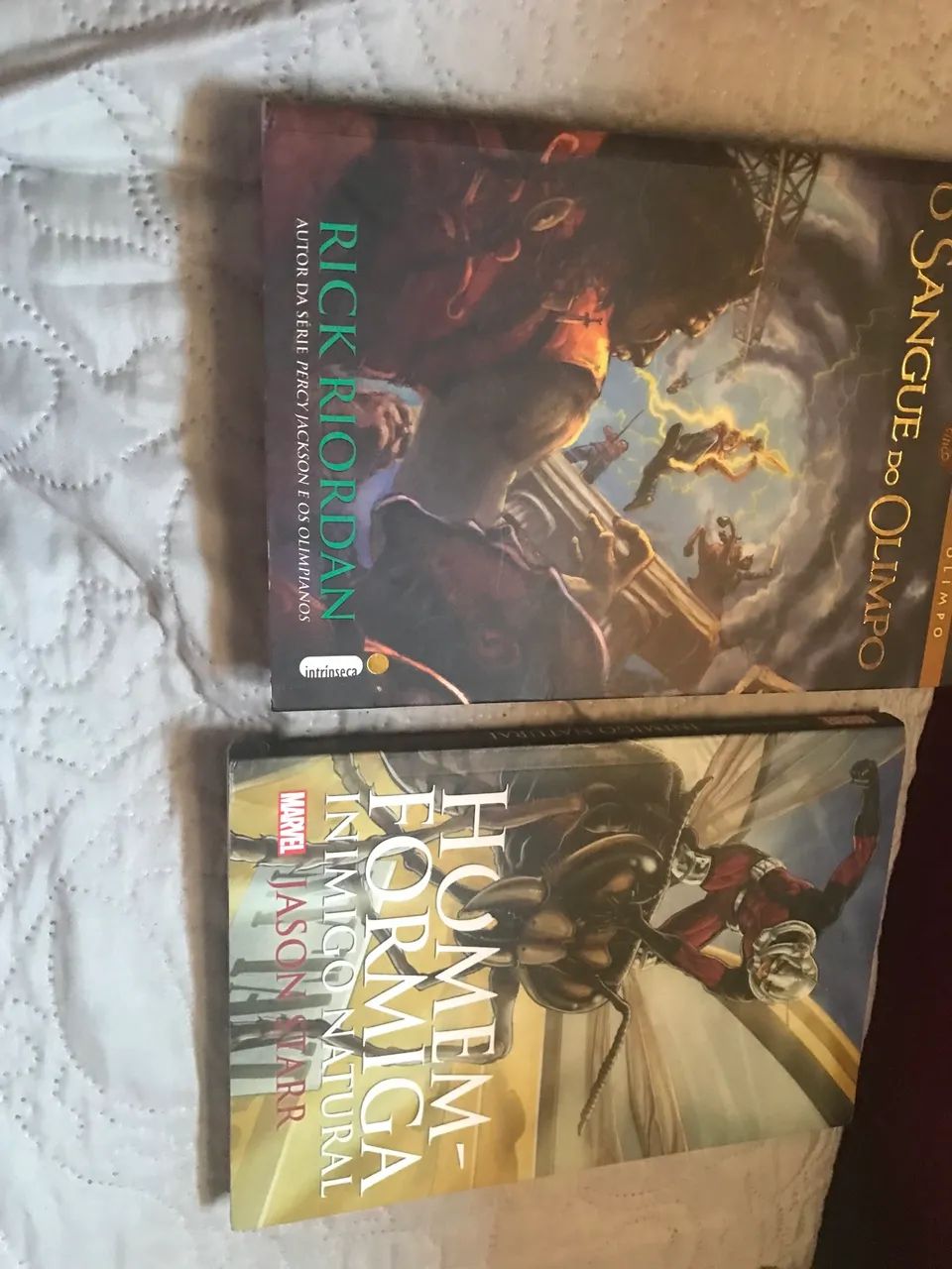 Livros homem formiga e sangue do olimpo - Foto 5