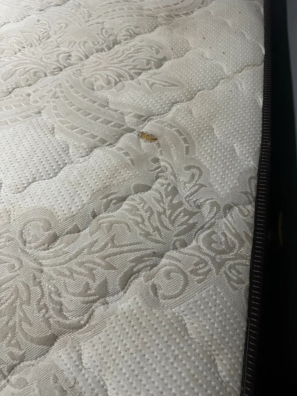 Cama queen superpocket duo visco  - Foto 3