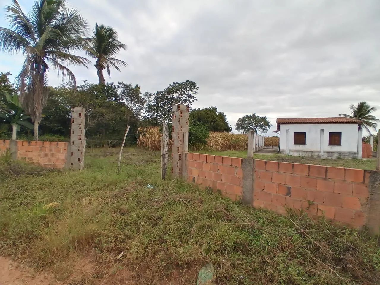 Chacara Deus é amor, povoado Pau Ferro . - Foto 4