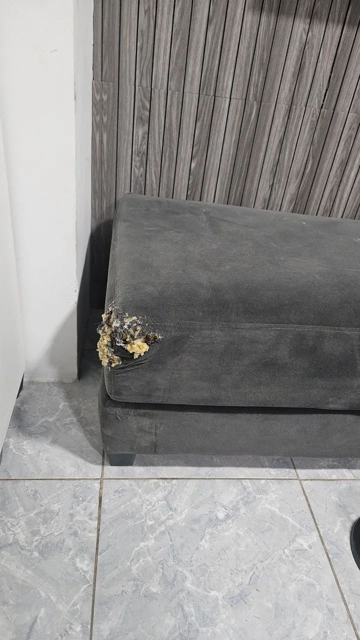 Sofá doação - Foto 2