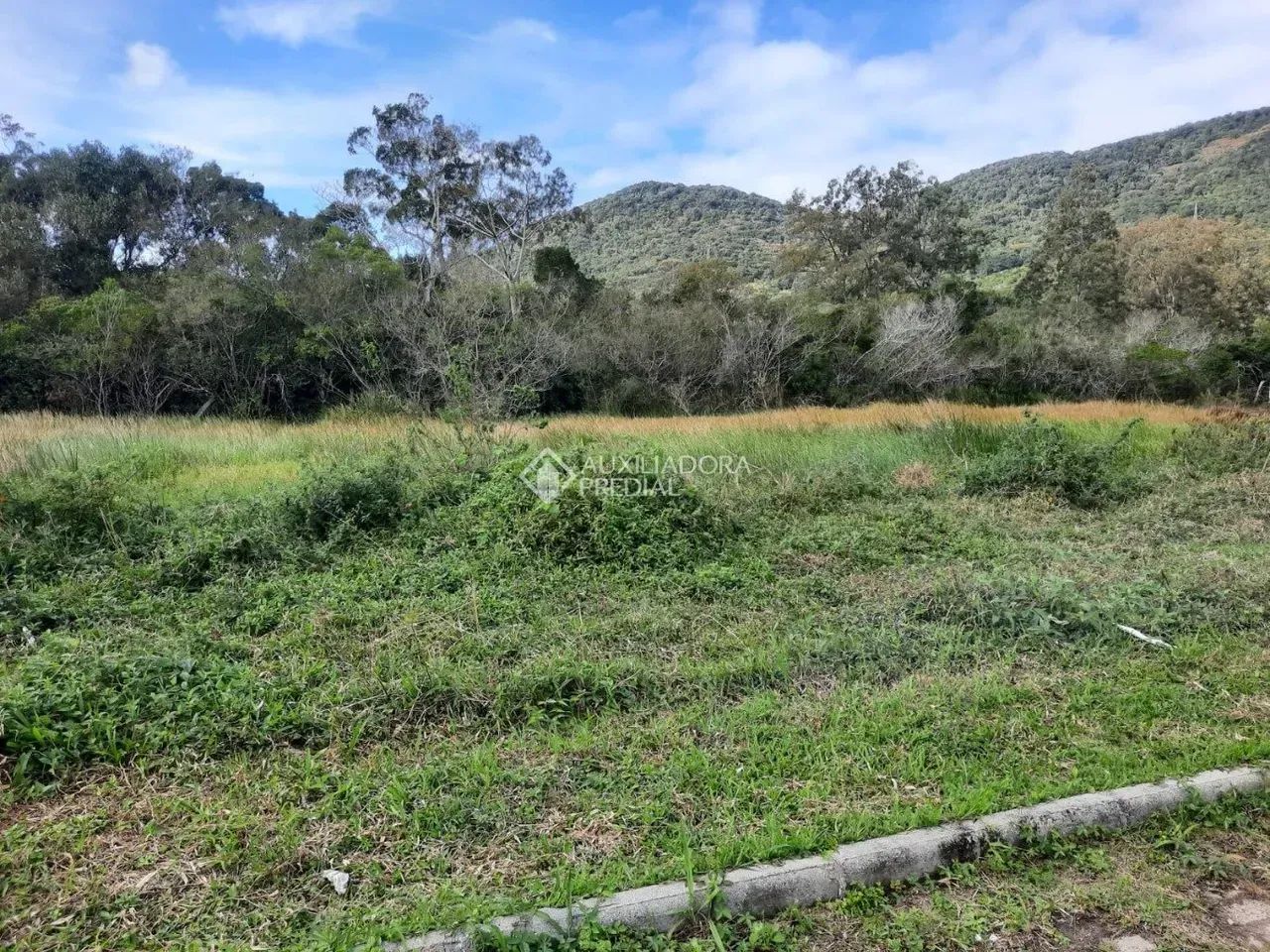 Terreno à venda em Ribeirão da Ilha, Florianópolis. - Foto 5