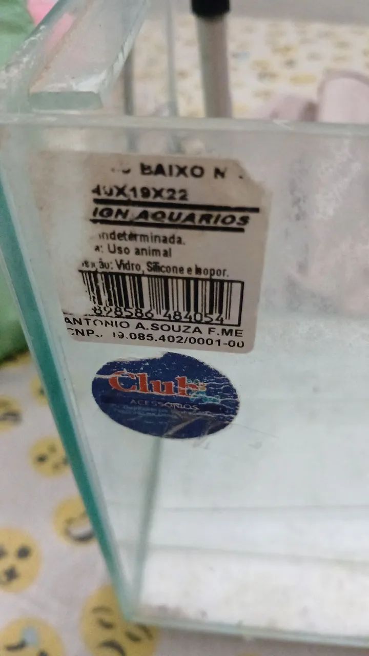 Aquário completo  - Foto 3