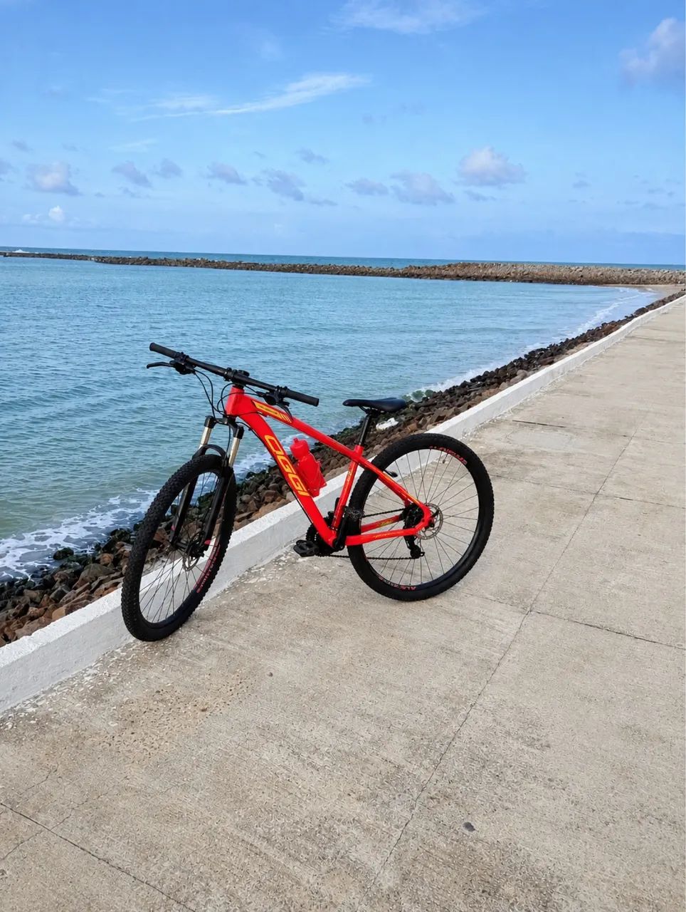 Bicicleta oggi 