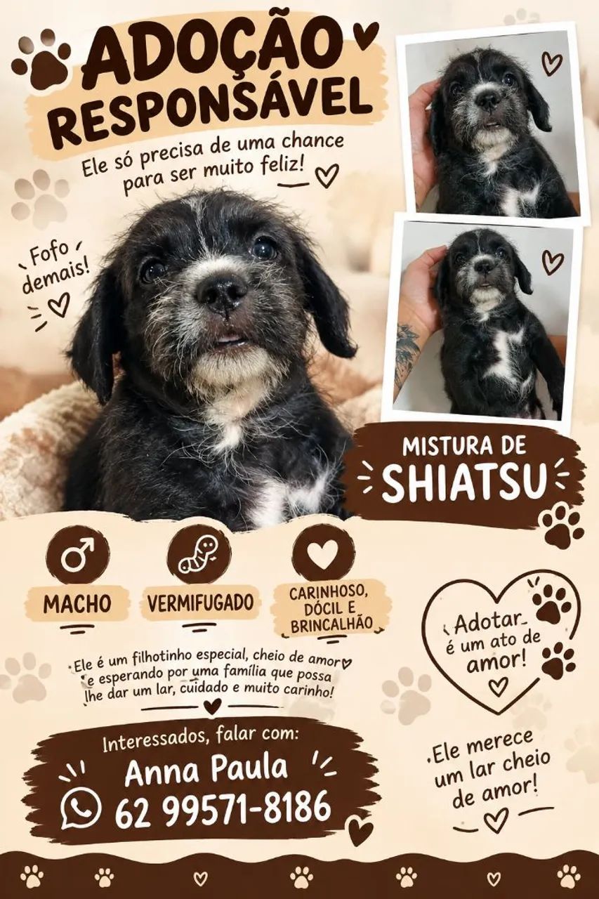 Cachorrinho para adoção  - Foto 4