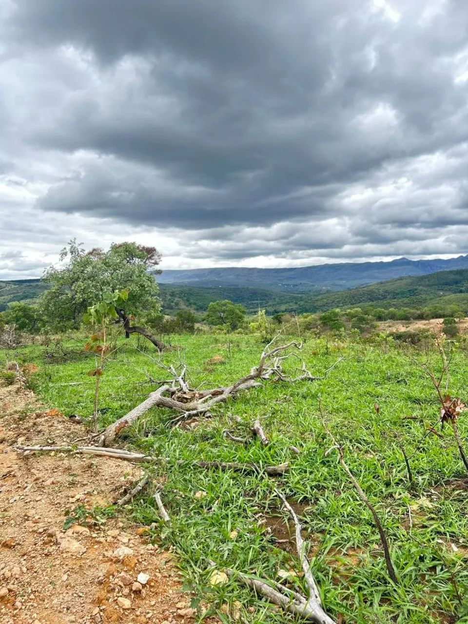 Vende chácara ou troco   - Foto 5