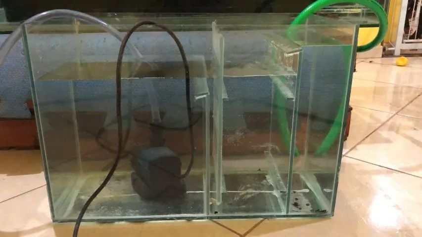 Aquario de 300 litros  + Sump de 84 litros - Foto 4