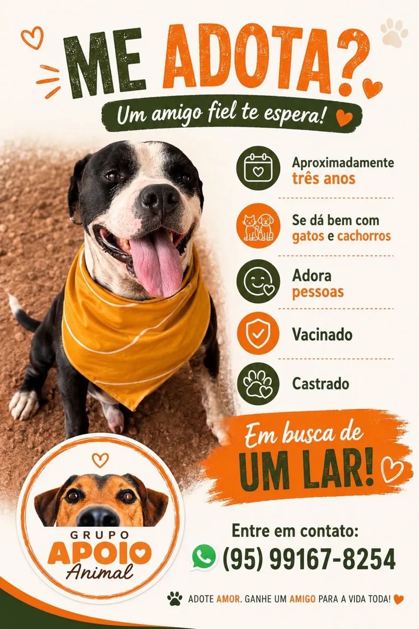Pitbull para adoção 