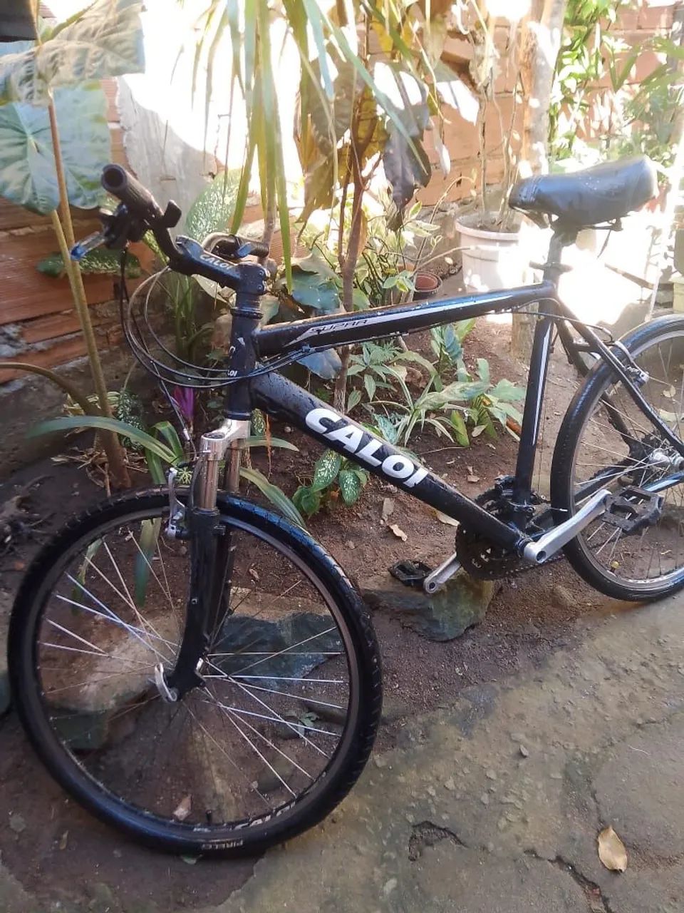 Bicicleta calor - Foto 2