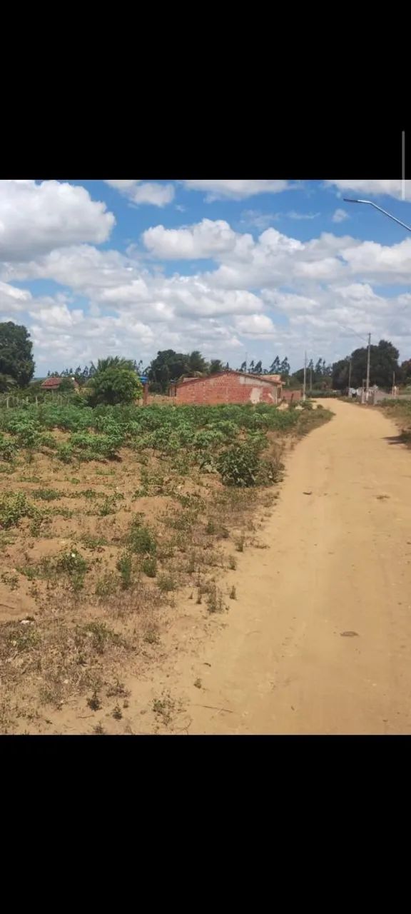 Terreno