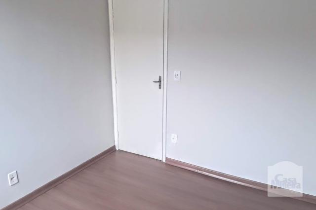 Casa à venda com 3 dormitórios em Nova cachoeirinha, Belo horizonte cod:236669 - Foto 8