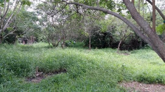 Terreno à venda em Aberta dos morros, Porto alegre cod:MI17324 - Foto 7