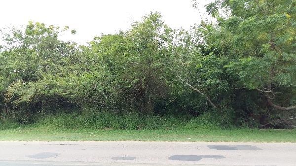 Terreno à venda em Aberta dos morros, Porto alegre cod:MI17324 - Foto 2