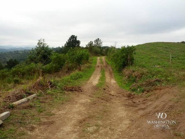 Chácara à venda, 2275517 m² por r$ 10.000.000,00 - centro - campo magro/pr - Foto 9