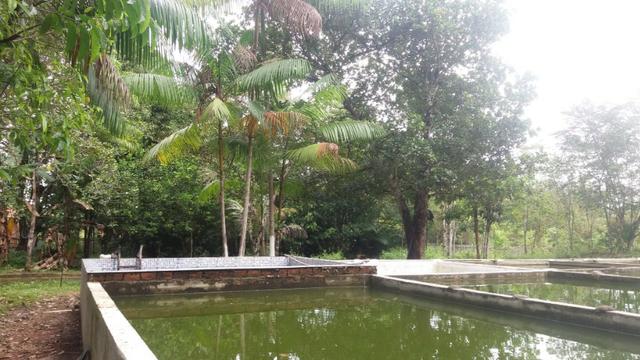 Sitio com Criação de Peixes - Foto 10