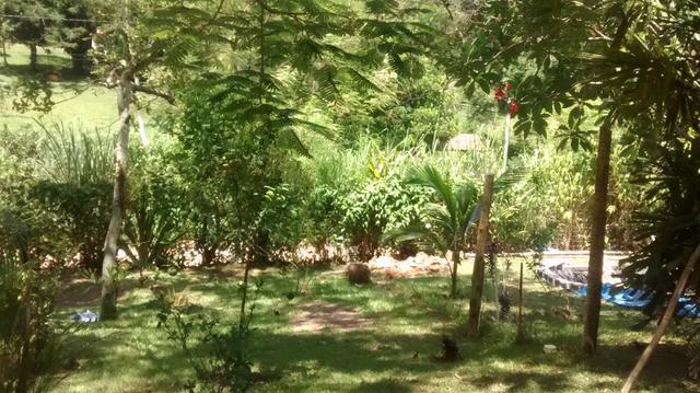 Jordão corretores - Sítio em Agrobrasil
