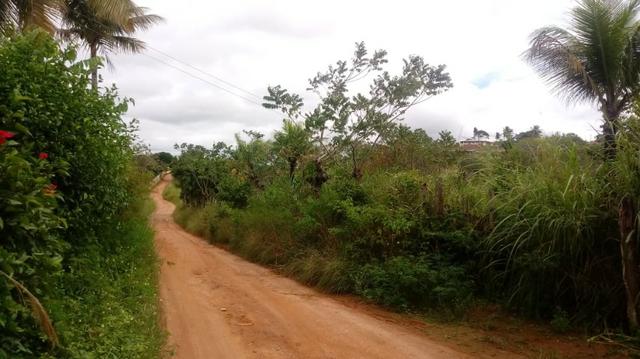 Glória de Goitá=Vend.160 mil=2 Hect=Casa,Pastos,Água,Energia,Fruteiras e mais - Foto 5