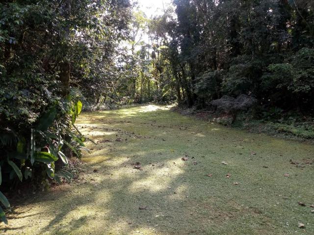 Chácara - São João da Graciosa - Morretes - Foto 17