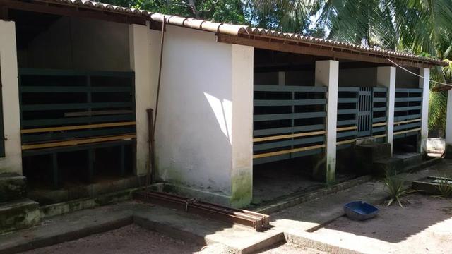 Granja Riachão 14.5 Hectares, 3 Baias, Aprisco, Cocheira, Poço, Casa sede e Morador - Foto 9