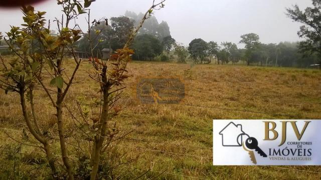 terreno rural que da fundos a lagoa.