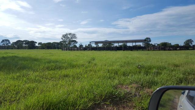Fazenda Santo Antonio Leverger 870 Hectares - Foto 16