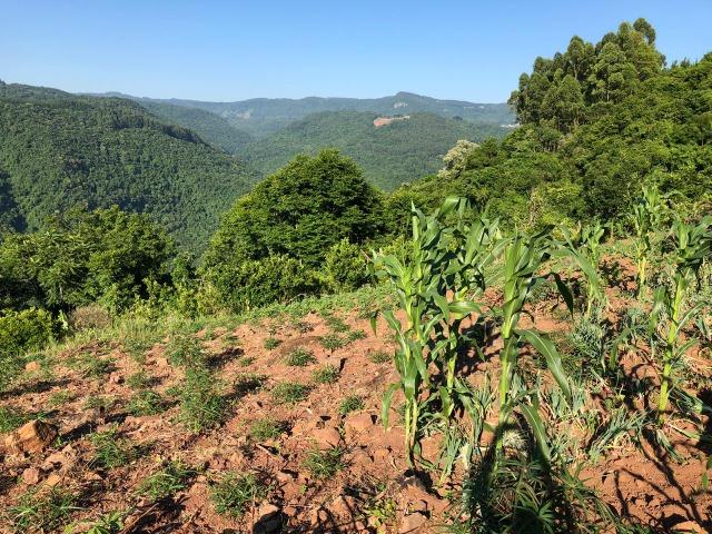 Área com vista espetacular em Gramado/RS! - Foto 6