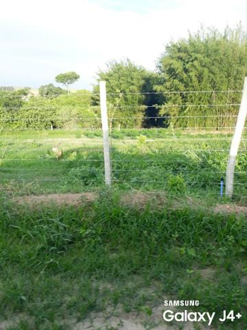 Chacara Bairro Pau Dalho 550mts $ 39mil