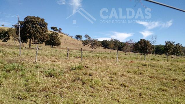 Fazenda de 10 alqueires para pecuária na região de Caldas Novas GO - Foto 10