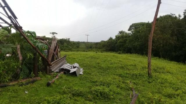 FAzenda de 234 alqueires na região de goianorte - Foto 13