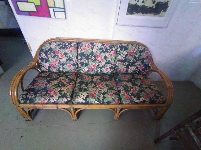 Sofas de bambu | +163 anúncios na OLX Brasil