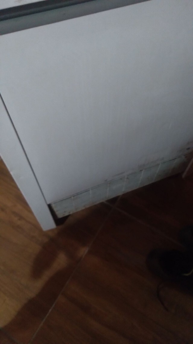 Vendo uma frizer de uma porta  
