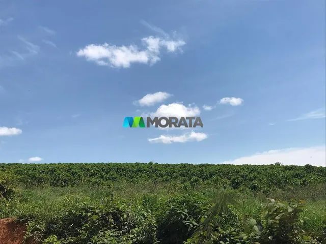 FAZENDA À VENDA - 240 HECTARES - REGIÃO DE CAMPOS ALTOS (MG) - Foto 5
