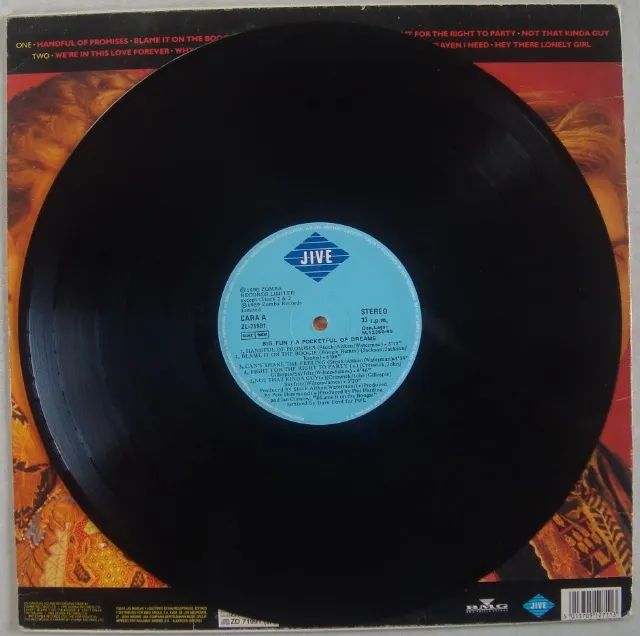 Lp Big Fun 1990 A Pocketful Of Dreams, Disco Vinil Importado - Foto 3