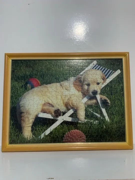 Lindo quadro cachorro golden quebra cabeça cão canino pet