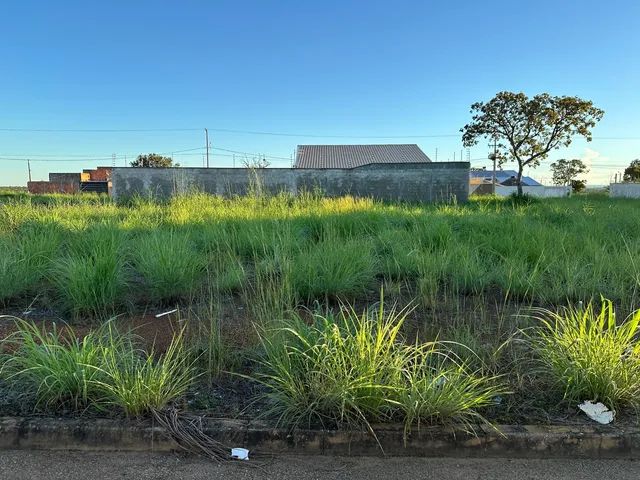 Lote na quadra 141B  - Foto 3