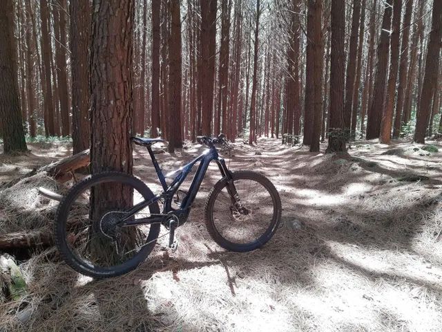 Specialized Turbo Levo SL Comp Carbon - Foto 3