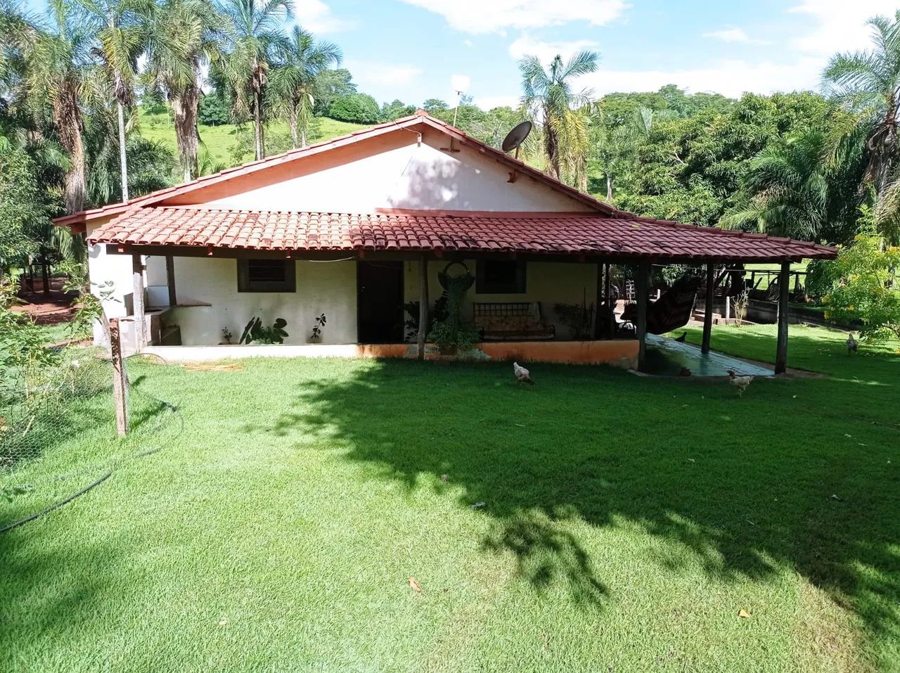 Chácara 5 alqueires em trindade  - Foto 2