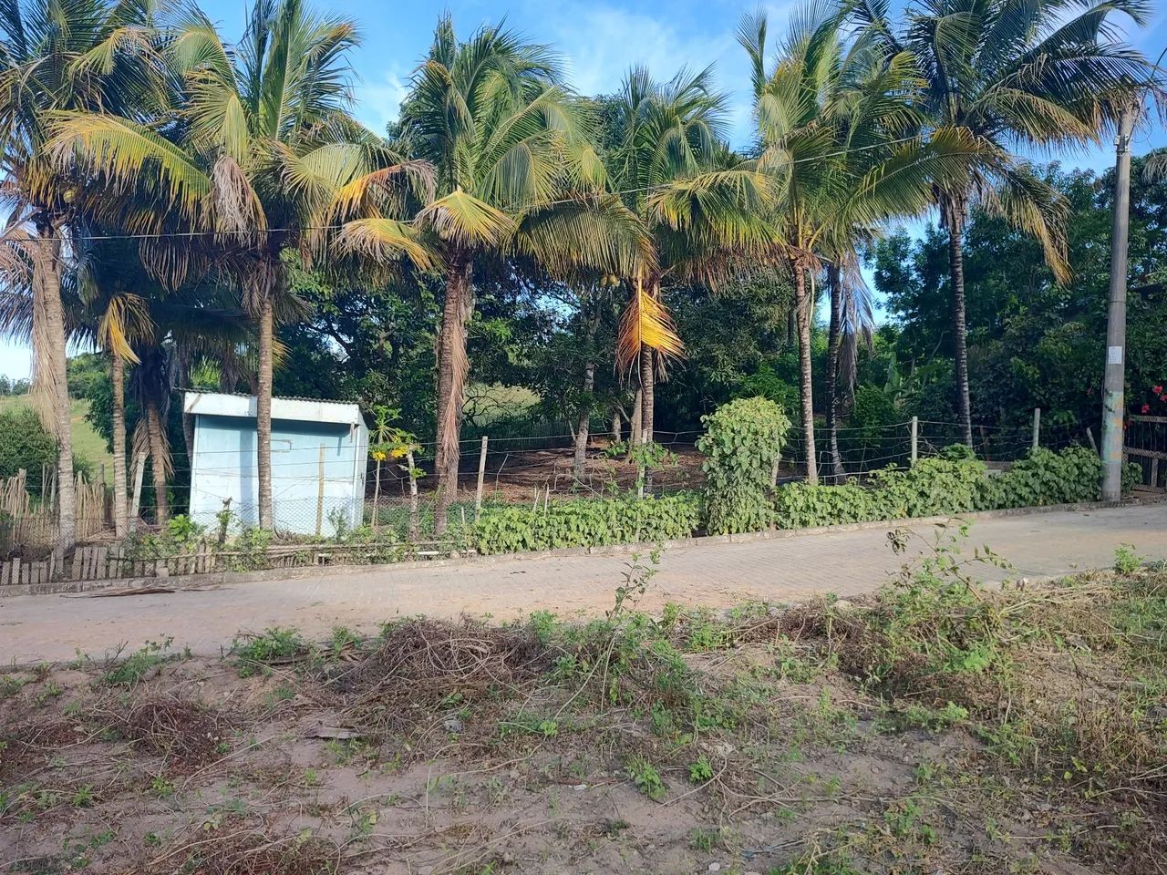 Terreno com Área Verde em Local Tranquilo - Foto 2