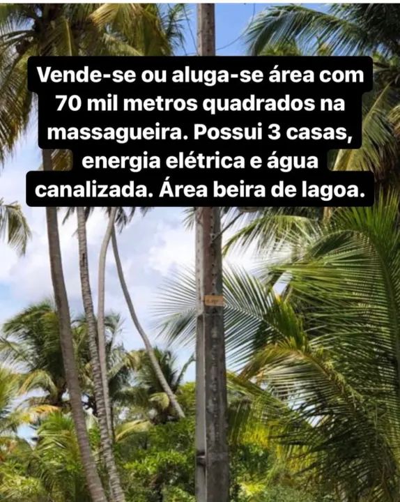 Grande Área à beira da lagoa para aluguel e venda tem 70000m2 em Massagueira - Marechal De