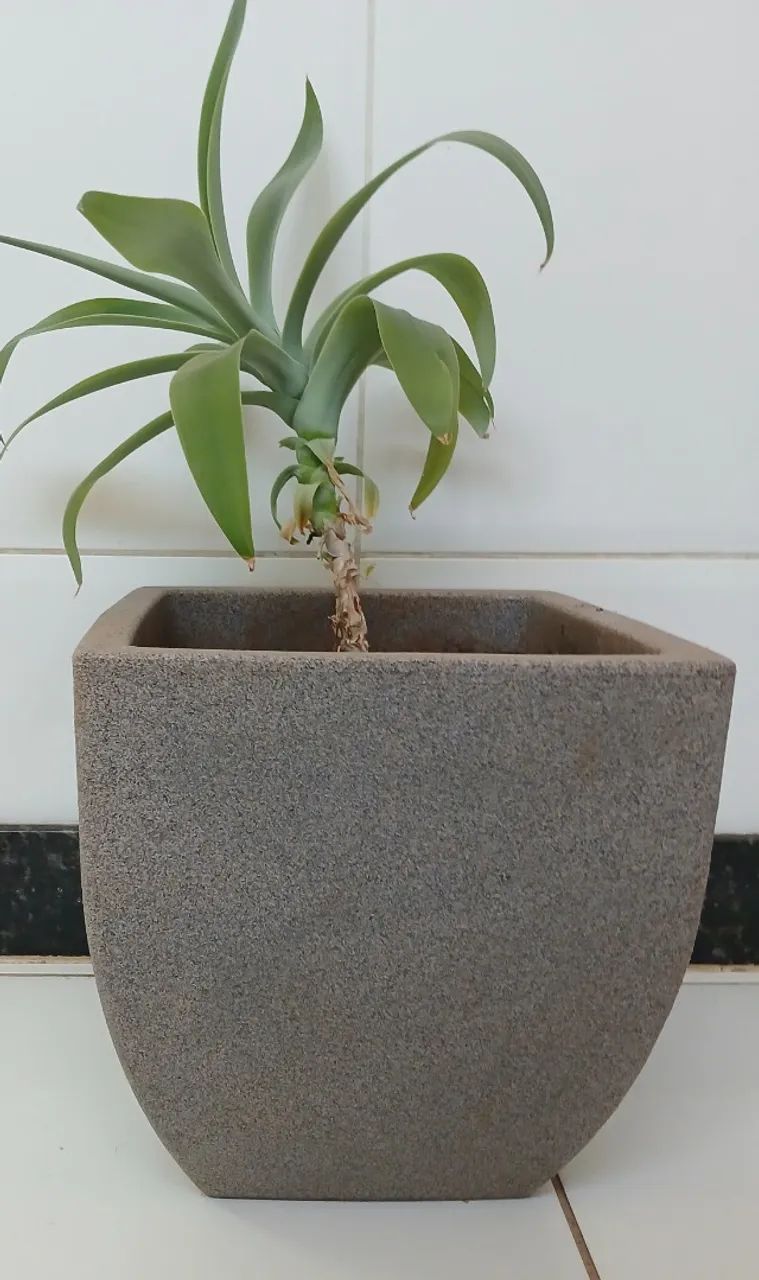 Vaso de Planta Cinza flores Arranjos cachepot Decoração Médio 30 cm Polietileno  - Foto 6