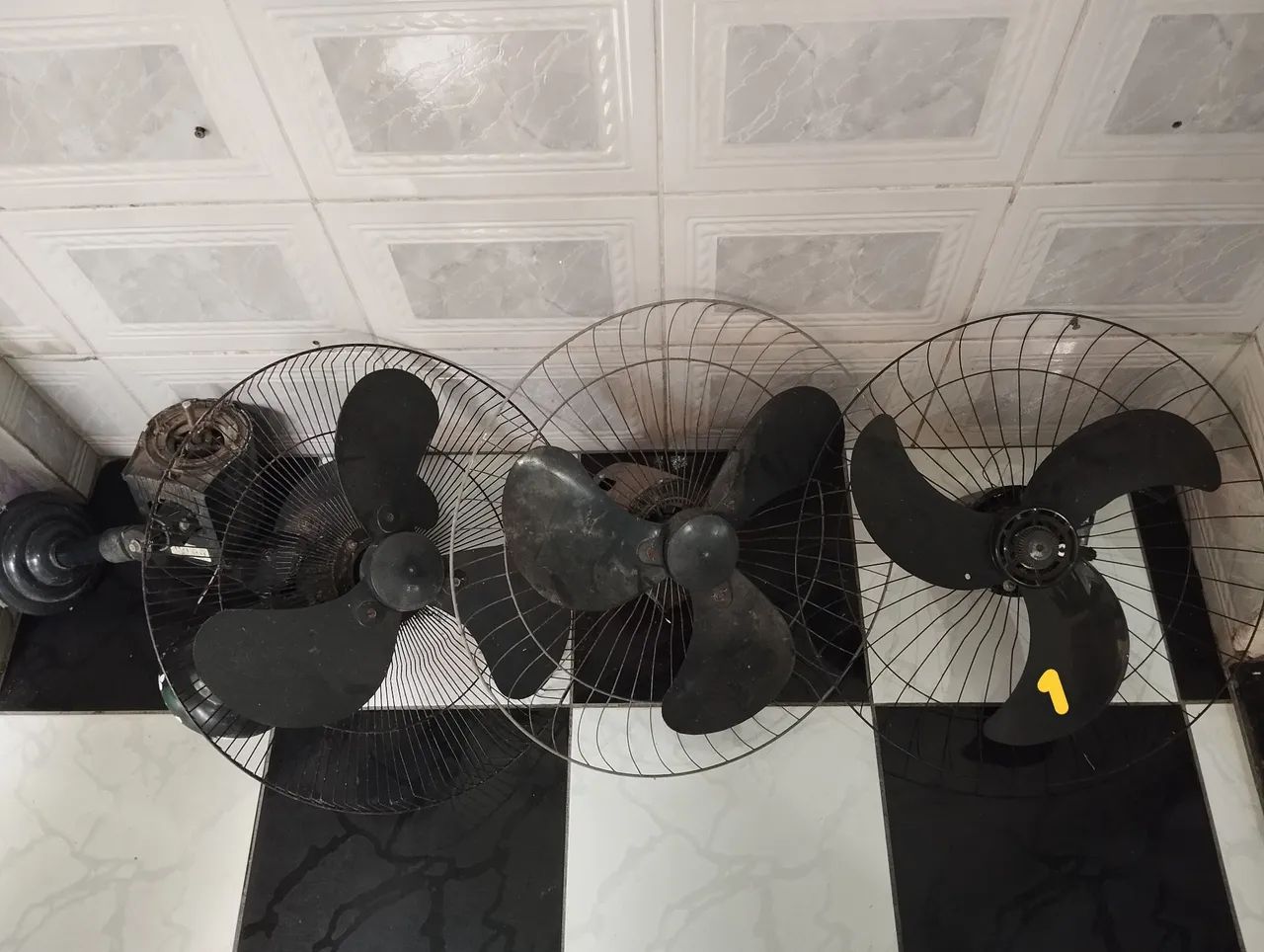 Wall Fan64363878568834120