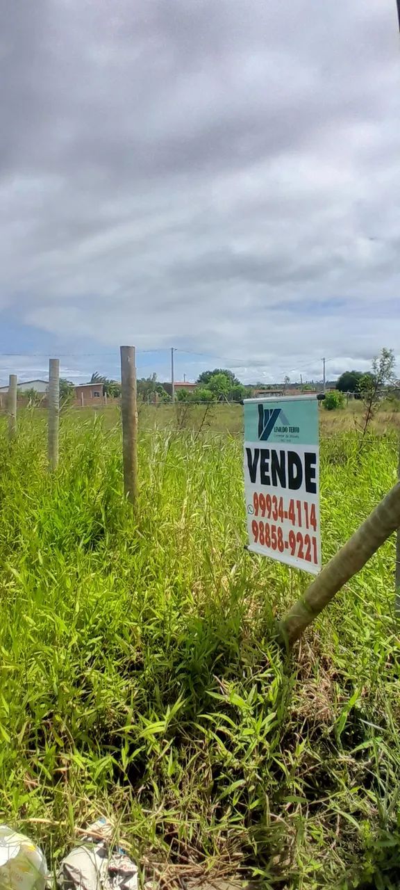 Vendo lotes 12x30 planos próximo do Francês  - Foto 4