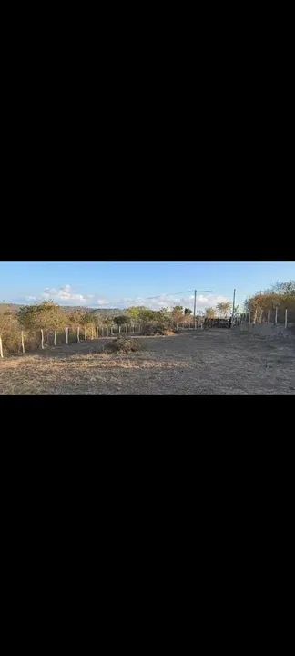 Terreno com área verde em local tranquilo - Foto 2